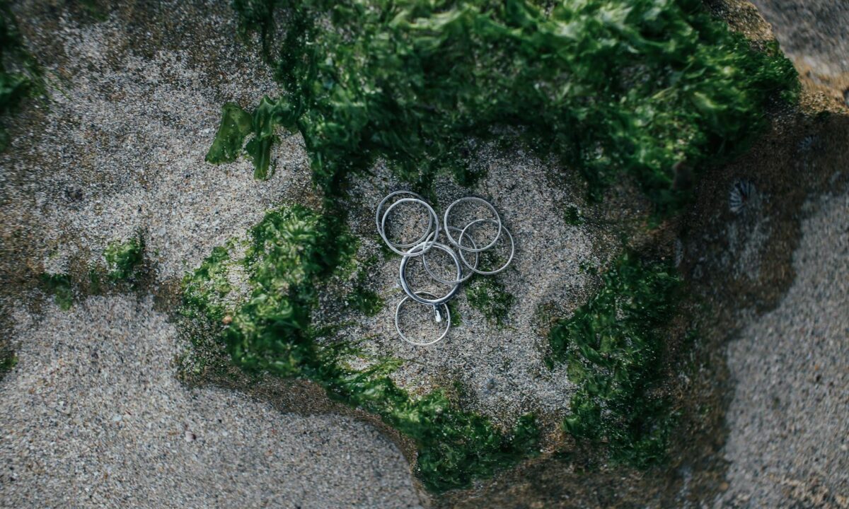 top view of silver rings on sand with seaweed