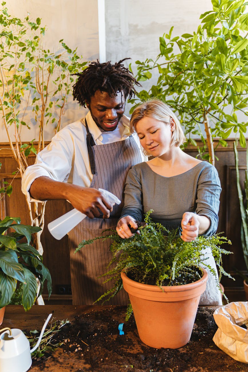 man and woman standing near the green plant
